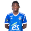 Sahi-Dion